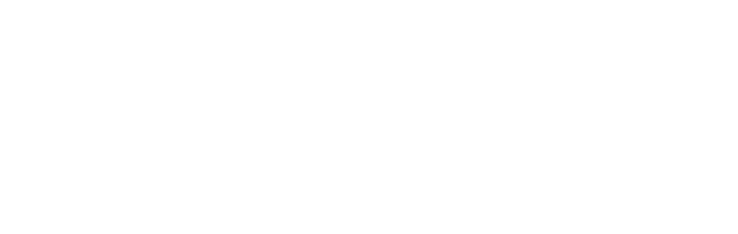 Stimline_logo_white