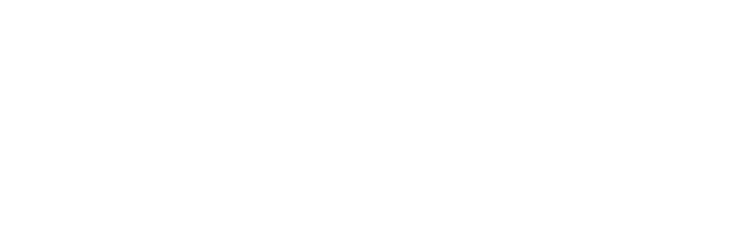 Stimline_logo_white